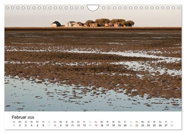 Produktbild: Hallig Hooge - zwischen Himmel und Erde (Wandkalender 2026 DIN A4 quer), CALVENDO Monatskalender