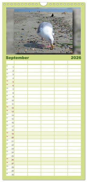 Produktbild: Familienplaner 2026 - Baltrum - Ein Tag am Strand mit 5 Spalten (Wandkalender, 21 x 45 cm) CALVENDO