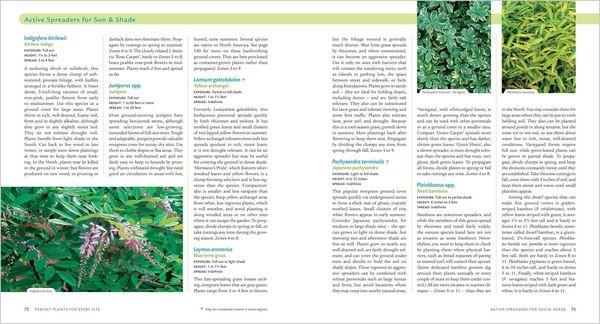 Produktbild: Covering Ground