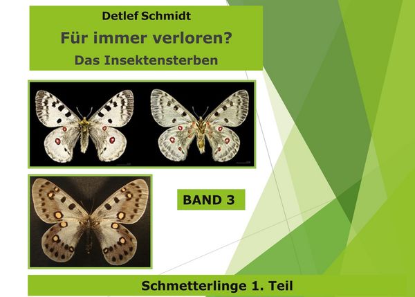 Produktbild: F&uuml;r immer verloren?