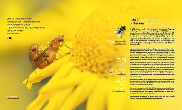 Produktbild: Mein Artenretter Garten