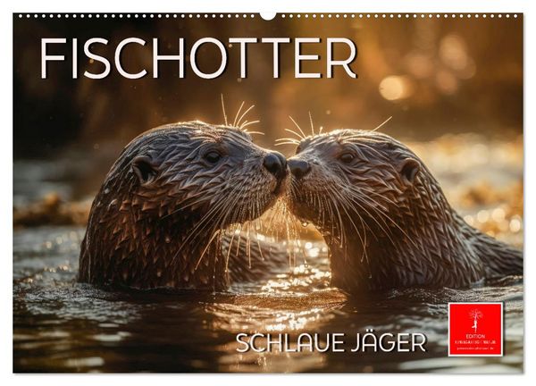 Fischotter - schlaue Jäger (Wandkalender 2026 DIN A2 quer), CALVENDO Monatskalender