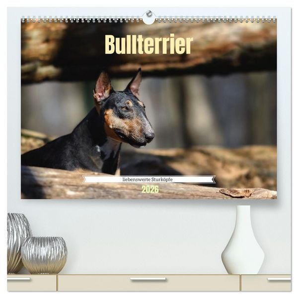 Produktbild: Bullterrier, liebenswerte Sturk&ouml;pfe (hochwertiger Premium Wandkalender 2026 DIN A2 quer), Kunstdruck in Hochglanz
