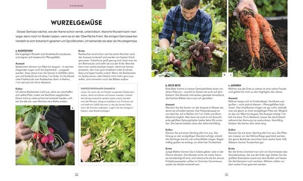 Produktbild: Frische Ernte zum kleinen Preis