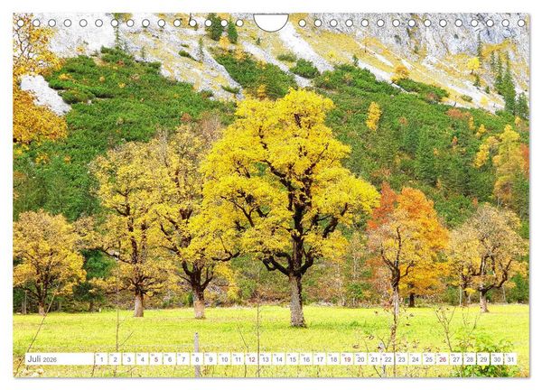 Produktbild: Indian Summer in der Eng - Das Naturdenkmal Gro&szlig;er Ahornboden (Wandkalender 2026 DIN A4 quer), CALVENDO Monatskalender