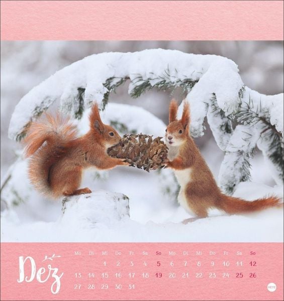 Produktbild: Vadim Trunov: M&auml;rchenhaftes Waldleben Postkartenkalender 2027