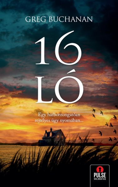 Produktbild: 16 l&oacute;