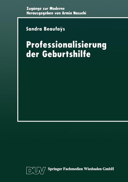Produktbild: Professionalisierung der Geburtshilfe