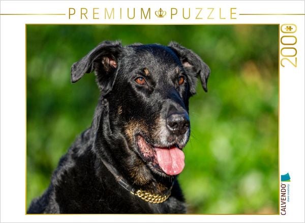 CALVENDO Puzzle Ein Motiv aus dem Kalender Der Beauceron | 2000 Teile Lege-Größe 90x67cm Foto-Puzzle für glückliche Stunden