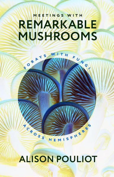 Produktbild: Meetings with Remarkable Mushrooms