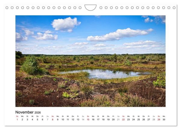 Produktbild: Steinhuder Meer Impressionen (Wandkalender 2026 DIN A4 quer), CALVENDO Monatskalender