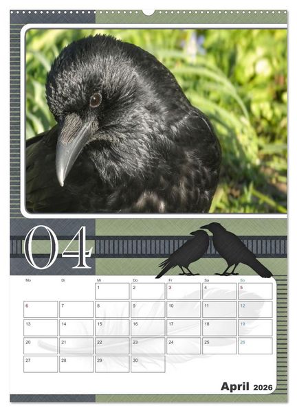 Produktbild: Kr&auml;hen - Clever notiert! Mit K&ouml;pfchen durchs ganze Jahr (hochwertiger Premium Wandkalender 2026 DIN A2 hoch), Kunstdruck in Hochglanz