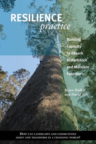 Produktbild: Resilience Practice