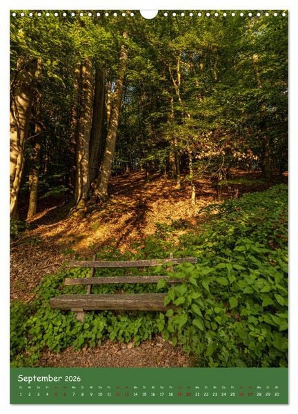 Produktbild: Ich bin dann mal im Wald (Wandkalender 2026 DIN A3 hoch), CALVENDO Monatskalender