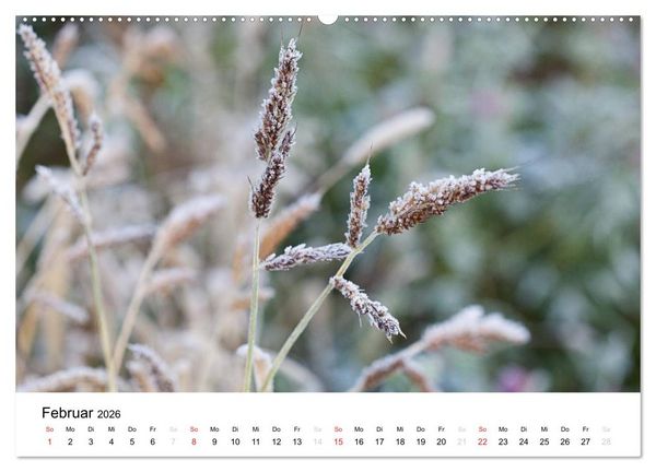Produktbild: Mein Jahr im Landhausgarten (Wandkalender 2026 DIN A2 quer), CALVENDO Monatskalender