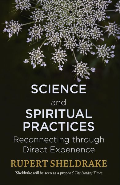 Produktbild: Science and Spiritual Practices