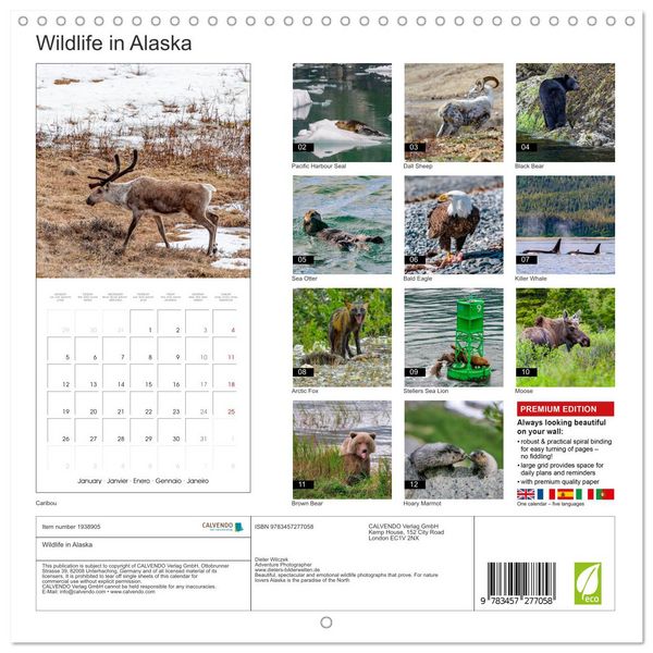 Produktbild: Wildlife in Alaska (Wall Calendar 2026 12 &times; 12 Inch) CALVENDO 12 Month Wall Calendar