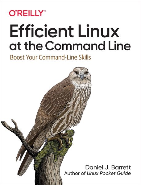 Produktbild: Efficient Linux at the Command Line