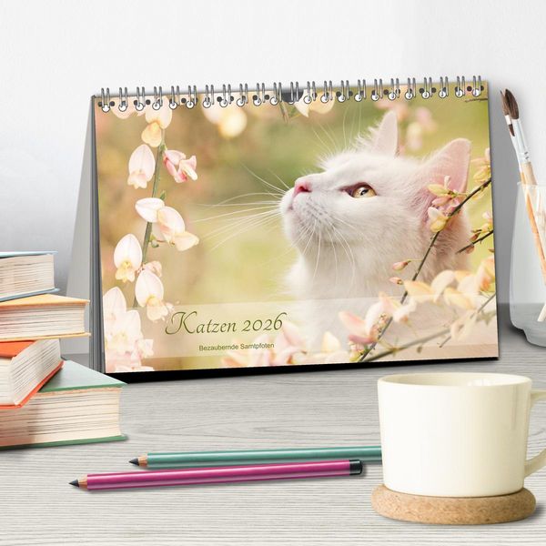 Produktbild: Katzen 2026 Bezaubernde Samtpfoten (Tischkalender 2026 DIN A5 quer), CALVENDO Monatskalender