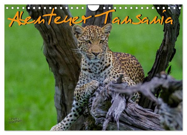 Produktbild: Abenteuer Tansania, Afrika (Wandkalender 2026 DIN A4 quer), CALVENDO Monatskalender