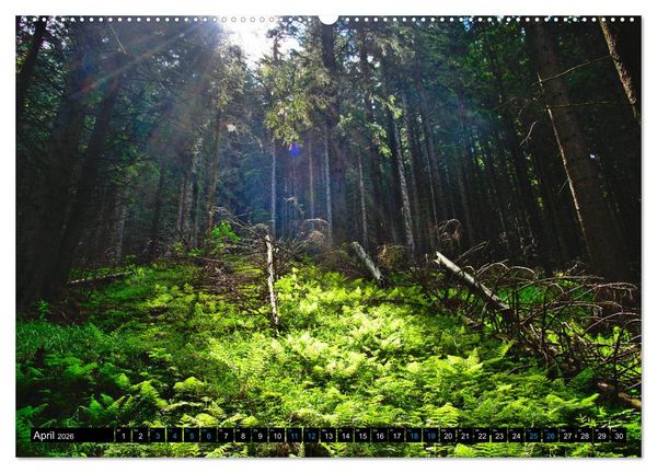 Produktbild: Slowakei - Abseits der Hohen Tatra (Wandkalender 2026 DIN A2 quer), CALVENDO Monatskalender