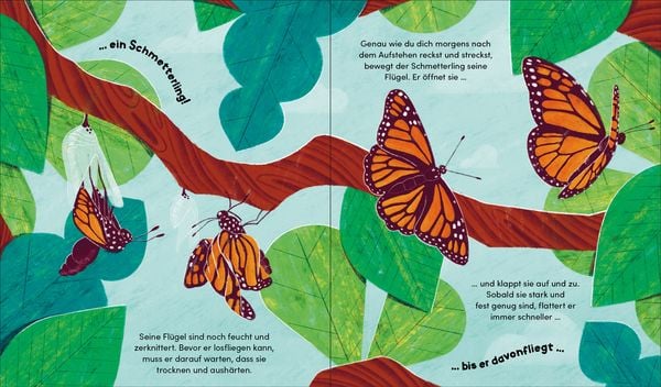 Produktbild: Aus klein wird gro&szlig;. So w&auml;chst ein Schmetterling