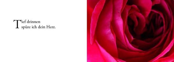 Produktbild: Die Sonne sucht dich &ndash; Das Foto-Meditationsbuch f&uuml;r eine gute Schwangerschaft und Geburt