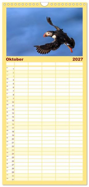 Produktbild: Familienplaner 2027 - Puffins - Papageientaucher auf Island mit 5 Spalten (Wandkalender, 21 x 45 cm) CALVENDO