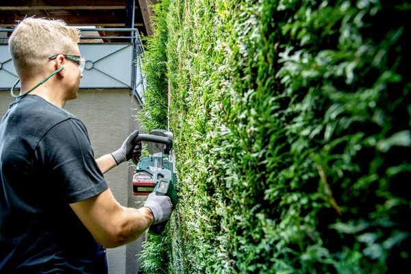 Produktbild: Metabo HS 18 LTX BL 55 Akku Heckenschere ohne Akku, ohne Ladeger&auml;t 1080mm