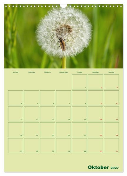 Produktbild: Die Welt der Insekten (Wandkalender 2027 DIN A3 hoch), CALVENDO Monatskalender