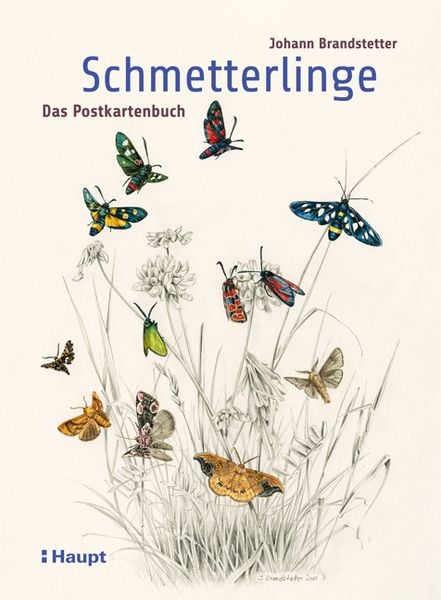 Produktbild: Schmetterlinge - Das Postkartenbuch