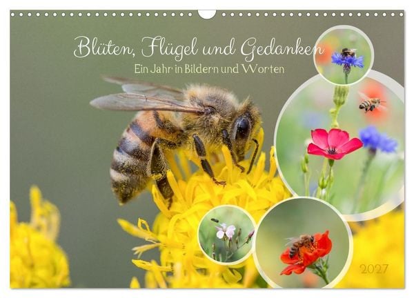 Produktbild: Bl&uuml;ten,Fl&uuml;gel und Gedanken &ndash; Ein Jahr in Bildern und Worten (Wandkalender 2027 DIN A3 quer), CALVENDO Monatskalender