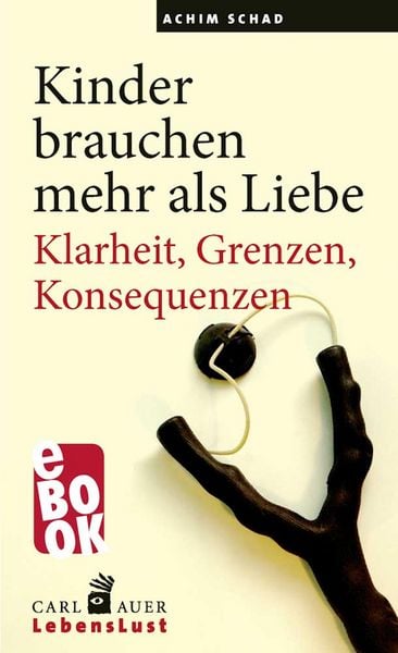 Produktbild: Kinder brauchen mehr als Liebe