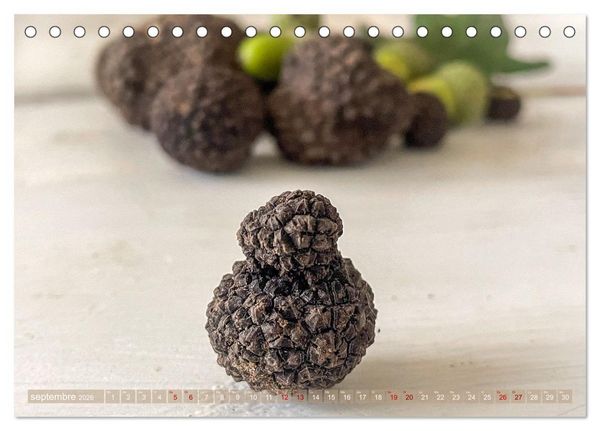 Produktbild: Tr&eacute;sors de truffes fran&ccedil;aises (Calendrier de bureau 2026 DIN A5 vertical), CALVENDO calendrier mensuel