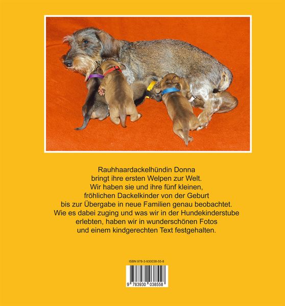 Produktbild: Dackel leben auf kurzen Beinen