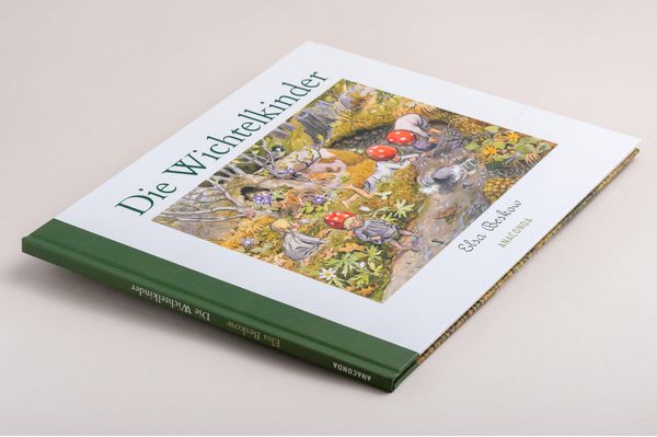 Produktbild: Die Wichtelkinder