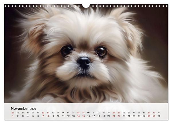 Produktbild: Zauberhafte Fluffies (Wandkalender 2026 DIN A3 quer), CALVENDO Monatskalender