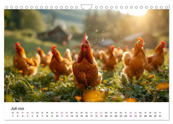 Produktbild: H&uuml;hner Federvieh (Wandkalender 2026 DIN A4 quer), CALVENDO Monatskalender