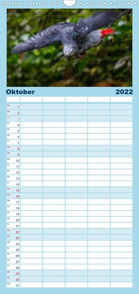 Produktbild: Papageien - Frech, sch&ouml;n und schlau - Familienplaner hoch (Wandkalender 2022 , 21 cm x 45 cm, hoch)