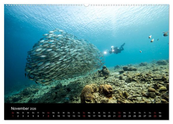 Produktbild: Tanz der Fische (hochwertiger Premium Wandkalender 2026 DIN A2 quer), Kunstdruck in Hochglanz