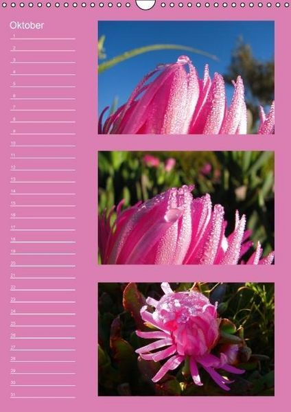 Produktbild: Zauberwelt der Blumen - Eiskristalle & Wasserperlen / Geburtstagskalender (Wandkalender immerw&auml;hrend DIN A3 hoch)