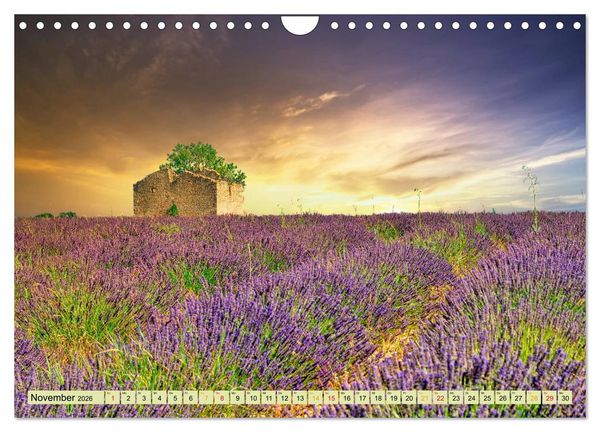 Produktbild: Traum-Ziele - Lavendel der Provence, Frankreich (Wandkalender 2026 DIN A4 quer), CALVENDO Monatskalender