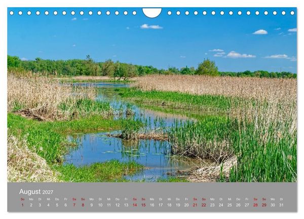 Produktbild: Nationalpark Unteres Odertal (Wandkalender 2027 DIN A4 quer), CALVENDO Monatskalender