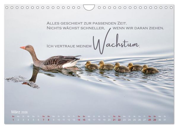 Produktbild: Vertraue! (Wandkalender 2026 DIN A4 quer), CALVENDO Monatskalender