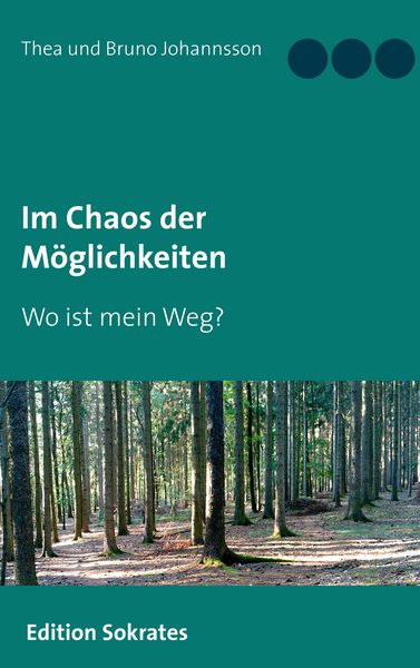 Im Chaos der Möglichkeiten, Taschenbuch von Thea Johannsson , Bruno Johannsson, BoD – Books on Demand, 9783748139263
