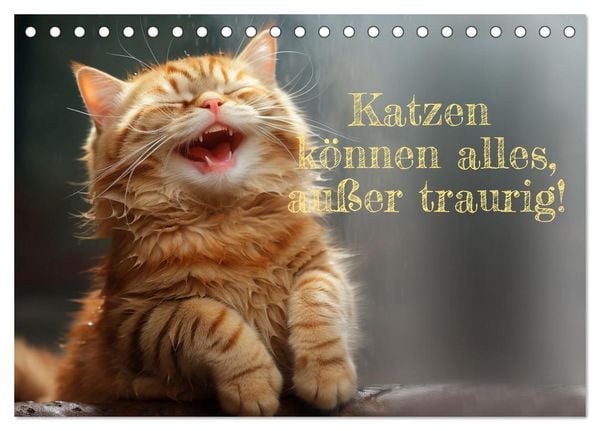Produktbild: Katzen k&ouml;nnen alles, au&szlig;er traurig. (Tischkalender 2026 DIN A5 quer), CALVENDO Monatskalender