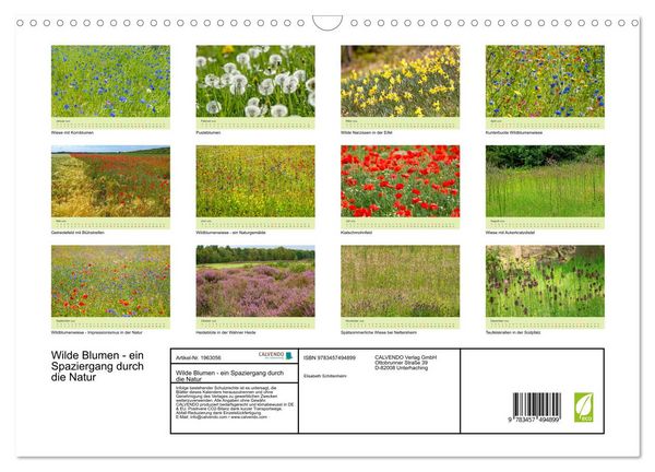 Produktbild: Wilde Blumen - ein Spaziergang durch die Natur (Wandkalender 2026 DIN A3 quer), CALVENDO Monatskalender