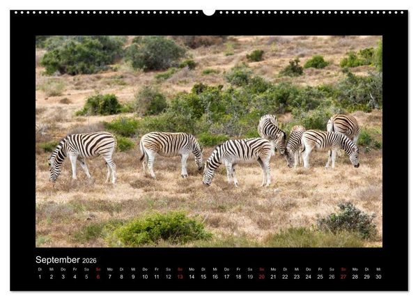 Produktbild: S&uuml;dafrika - Garden Route (hochwertiger Premium Wandkalender 2026 DIN A2 quer), Kunstdruck in Hochglanz
