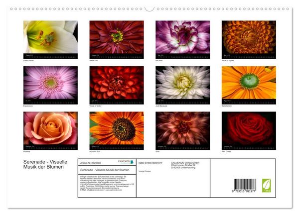 Produktbild: Serenade - Visuelle Musik der Blumen (hochwertiger Premium Wandkalender 2026 DIN A2 quer), Kunstdruck in Hochglanz