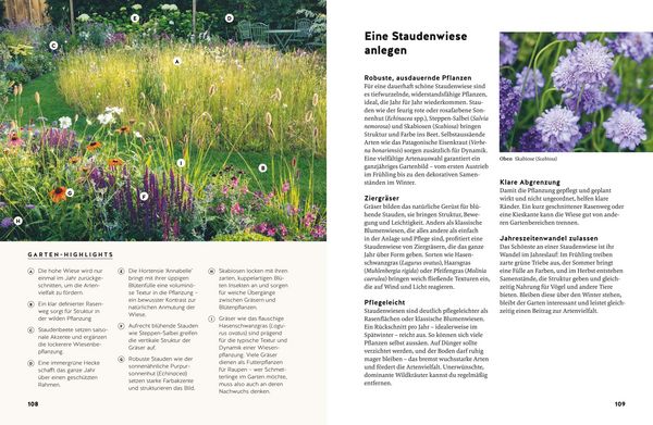 Produktbild: Small Garden Beauty